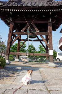 郷照寺２