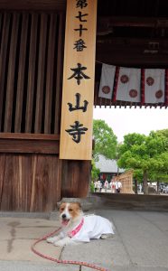 本山寺１