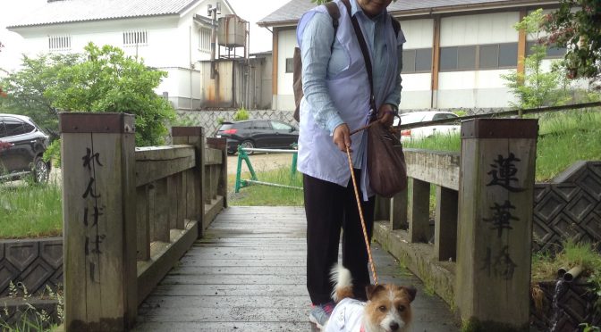 犬連れお遍路さん　６４番前神寺