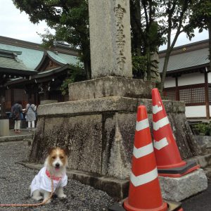 宝寿寺２