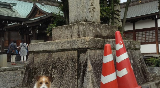 犬連れお遍路さん　６２番宝寿寺