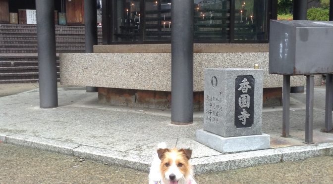 犬連れお遍路さん　６１番香園寺
