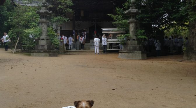 犬連れお遍路さん　５８番仙遊寺