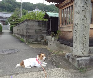 泰山寺１