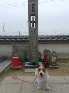 泰山寺３