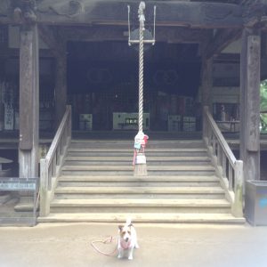 浄瑠璃寺２