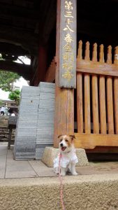 金剛福寺３