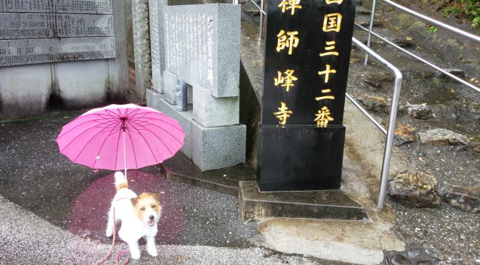 犬連れお遍路さん　３２番禅師峰寺